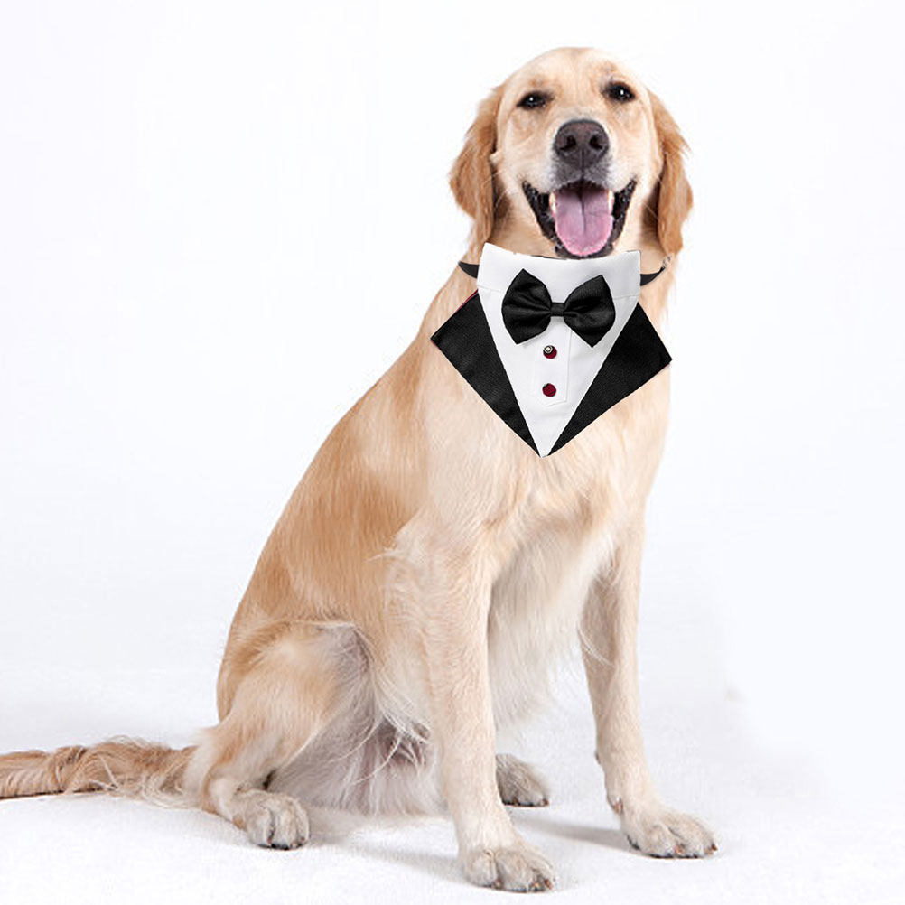 Conjunto de Traje y Pañuelo pa - Suitsupply Wedding Tuxedo reseña y precio